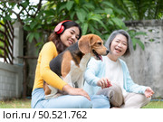 Family vacation, mother, daughter, and beagle puppy relaxing on weekends in the front yard. Стоковое фото, агентство Ingram Publishing / Фотобанк Лори