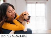On weekends, a beagle and her owner sit in their living room, Стоковое фото, агентство Ingram Publishing / Фотобанк Лори