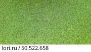 Top view of lemna Minor also known as  duckweed. Стоковое фото, агентство Ingram Publishing / Фотобанк Лори