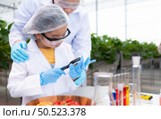 In the closed strawberry garden, a young scientist conducts a strawberry nutrient production experiment with her science class. Стоковое фото, агентство Ingram Publishing / Фотобанк Лори