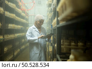 Young asian muslim female scientist doing research at a mushroom factory, examining mushroom leavening agent in a sterile and temperature-controlled room. Стоковое фото, агентство Ingram Publishing / Фотобанк Лори