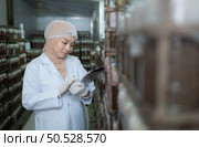 Young asian muslim female scientist doing research at a mushroom factory, examining mushroom leavening agent in a sterile and temperature-controlled room. Стоковое фото, агентство Ingram Publishing / Фотобанк Лори