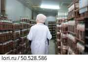 Portrait of a female scientist carrying a box with mushroom lumps in a sterile and temperature-controlled room. Стоковое фото, агентство Ingram Publishing / Фотобанк Лори
