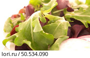 Salad mix with rucola, frisee, radicchio and lamb’s lettuce. Isolated on white background. Стоковое фото, агентство Ingram Publishing / Фотобанк Лори