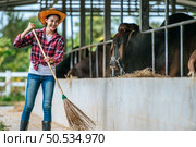 Portrait of Happy young Asian farmer woman sweeping floor at cow farm. Agriculture industry, farming, people, technology and animal husbandry concept. Стоковое фото, агентство Ingram Publishing / Фотобанк Лори