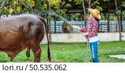 Portrait of Happy young Asian farmer woman wearing hat working to clean cow in farm. Agriculture industry, farming, people, technology and animal husbandry concept. Стоковое фото, агентство Ingram Publishing / Фотобанк Лори