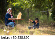 Rural life of Thai farmers More than 70% have to live on farming. Sifting rice with baskets that farmers are doing as shown in the picture is a method of separating rice from the husk. Стоковое фото, агентство Ingram Publishing / Фотобанк Лори