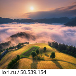 Aerial view of alpine meadows and mountains in pink low clouds at sunrise in autumn. Top drone view of hills with green grass and trees in fog, colorful sky at dawn in fall. Slovenia. Mountain valley . Стоковое фото, агентство Ingram Publishing / Фотобанк Лори