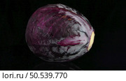 Red cabbage rotating over black background. Стоковое фото, агентство Ingram Publishing / Фотобанк Лори