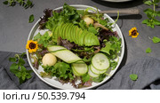 Fresh summer salad with cucumber, melon, avocado and fresh oregano served on ceramic plates. Стоковое фото, агентство Ingram Publishing / Фотобанк Лори