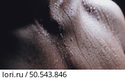 Water Droplets Trailing Down Male Torso Under Backlight. Стоковое видео, видеограф Илья Шаматура / Фотобанк Лори