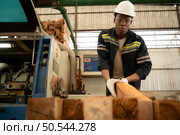 Young man worker work in a woodworking factory, Working with wood sawing and cutting machines to produce wooden sheets for making pallets. Стоковое фото, агентство Ingram Publishing / Фотобанк Лори