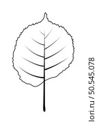 Autumn linden leaf. Autumn leaf fall. Vector illustration. Стоковая иллюстрация, агентство Ingram Publishing / Фотобанк Лори