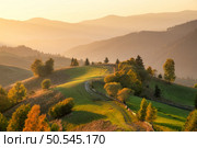 Carpathian mountain valley with beautiful hills in haze, orange trees at sunset in autumn in Ukraine. Colorful landscape with dirt road, meadows, forest, green grass, golden sunlight in fall. Nature. Стоковое фото, агентство Ingram Publishing / Фотобанк Лори