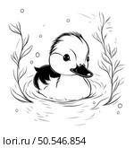 Duckling in the water. Black and white vector illustration. Стоковая иллюстрация, агентство Ingram Publishing / Фотобанк Лори