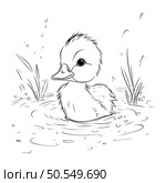 Duckling swimming in the water. Black and white vector illustration. Стоковая иллюстрация, агентство Ingram Publishing / Фотобанк Лори