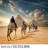 Camel caravan in front of the Great pyramid of Giza. Camel caravan in Giza. Стоковое фото, агентство Ingram Publishing / Фотобанк Лори