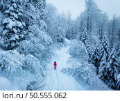 Aerial view of walking woman in red on mountain road in beautiful foggy forest in snow in winter day. Top drone view of girl in snowy woods in mist. Pine trees in hoar. Snowfall in wintry woodland. Стоковое фото, агентство Ingram Publishing / Фотобанк Лори