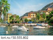 Scenic view of the marina with a ferry in Varenna on Lake Como. Стоковое фото, агентство Ingram Publishing / Фотобанк Лори