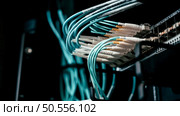 Network cable in data center Fiber Optical connector interface. multiple exposure. Information Technology Computer Network, Telecommunication Fiber Optical Cables Connected. Data server. Стоковое фото, агентство Ingram Publishing / Фотобанк Лори