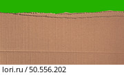 Green screen cardboard texture background. Old vintage brown paper box surface. Стоковое фото, агентство Ingram Publishing / Фотобанк Лори