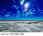 dry saline land under hot sparkle sun, natural calamity scene. Стоковое фото, агентство Ingram Publishing / Фотобанк Лори