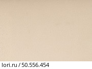 Grey leather texture closeup backgroud. Стоковое фото, агентство Ingram Publishing / Фотобанк Лори