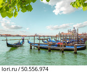 Gondolas in Grand Canal in Venice, Italy. Gondolas in the hot sun. Стоковое фото, агентство Ingram Publishing / Фотобанк Лори