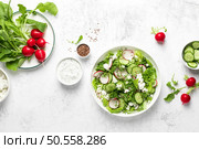 Radish and cucumber fresh green leafy vegetable salad with romaine lettuce, cottage cheese and yogurt, top view. Стоковое фото, агентство Ingram Publishing / Фотобанк Лори