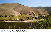 Douro valley view near the Ferradosa bridge at Sao Xisto Located in Vale de Figueira, Sao Joao da Pesqueira Municipality, the village is dominated by a breathtaking landscape. Стоковое фото, агентство Ingram Publishing / Фотобанк Лори