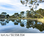 Scenic view of Bucaquinho Natural Park, Ovar, north of Portugal. Стоковое фото, агентство Ingram Publishing / Фотобанк Лори