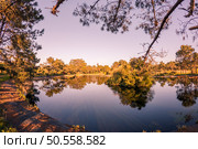 Scenic view of Bucaquinho Natural Park, Ovar, north of Portugal. Стоковое фото, агентство Ingram Publishing / Фотобанк Лори