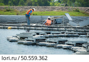 Both of technicians are currently evaluating and repairing the transmission terminals for electricity generated by solar energy in a floating solar power system. Стоковое фото, агентство Ingram Publishing / Фотобанк Лори