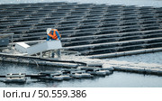 Technician currently evaluating and repairing the transmission terminals for electricity generated by solar energy in a floating solar power system. Стоковое фото, агентство Ingram Publishing / Фотобанк Лори