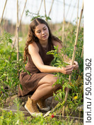 Young girl in dress tending tomatoes in her garden. Стоковое фото, фотограф Яков Филимонов / Фотобанк Лори