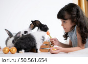 Smiling little girl and with their beloved fluffy rabbit, showcasing the beauty of friendship between humans and animals. Стоковое фото, агентство Ingram Publishing / Фотобанк Лори