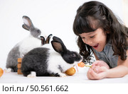 Smiling little girl and with their beloved fluffy rabbit, showcasing the beauty of friendship between humans and animals. Стоковое фото, агентство Ingram Publishing / Фотобанк Лори