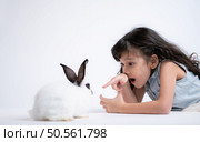 Smiling little girl and with their beloved rabbit, showcasing the beauty of friendship between humans and animals. Стоковое фото, агентство Ingram Publishing / Фотобанк Лори