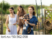 Women spray mosquito repellent on their legs and arms while working in farm and garden. Стоковое фото, фотограф Яков Филимонов / Фотобанк Лори
