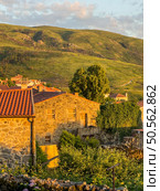 Golden hour over a rustic village with stone houses nestled among green hills. Linhares da Beira, Portugal. Стоковое фото, агентство Ingram Publishing / Фотобанк Лори