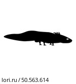 Axolotl ambystoma mexicanum view side icon black color vector illustration image flat style simple. Axolotl ambystoma mexicanum view side icon black color vector illustration image flat style. Стоковая иллюстрация, агентство Ingram Publishing / Фотобанк Лори