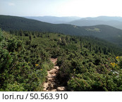 Mountain road trail leads to the bottom scenic landscape with view hiking trail Hoverla in the Carpathians horizontal. Стоковое фото, агентство Ingram Publishing / Фотобанк Лори