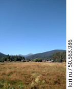 View of Hoverla Mountain in the Carpathians from the countryside grows green grass and a design for drying grass vertical. Стоковое фото, агентство Ingram Publishing / Фотобанк Лори