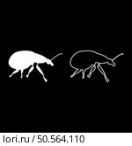Weevil insect pest set icon white color vector illustration image simple solid fill outline contour line thin flat style. Weevil insect pest set icon white color vector illustration image solid fill outline contour line thin flat style. Стоковая иллюстрация, агентство Ingram Publishing / Фотобанк Лори