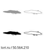 Axolotl ambystoma mexicanum view side set icon grey black color vector illustration image simple solid fill outline contour line thin flat style. Axolotl ambystoma mexicanum view side set icon grey black color vector illustration image solid fill outline contour line thin flat style. Стоковая иллюстрация, агентство Ingram Publishing / Фотобанк Лори