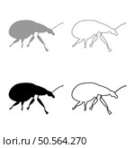 Weevil insect pest set icon grey black color vector illustration image simple solid fill outline contour line thin flat style. Weevil insect pest set icon grey black color vector illustration image solid fill outline contour line thin flat style. Стоковая иллюстрация, агентство Ingram Publishing / Фотобанк Лори