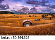 Amazing Alpe di Siusi at sunset in autumn. Colorful landscape with alpine mountains in low clouds, wooden houses, orange meadows, rocks, flowers on hills, purple sky in fall. Dolomites, Italy. Стоковое фото, агентство Ingram Publishing / Фотобанк Лори