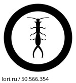 Earwig icon in circle round black color vector illustration image solid outline style simple. Earwig icon in circle round black color vector illustration image solid outline style. Стоковая иллюстрация, агентство Ingram Publishing / Фотобанк Лори