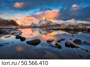 Landscape with snowy mountains reflecting on calm water with stones and colorful sky with clouds at sunset. Winter beach in Lofoten islands, Norway. Fjord, rocks in snow, pink sky with clouds. Nature. Scenic lofoten islands in norway: sunrise view of snowy mountains and reflective waters with colorful sky and clouds. Стоковое фото, агентство Ingram Publishing / Фотобанк Лори