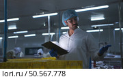Raw material quality inspectors evaluate and inspect fish pieces before they enter the canned fish production process. Стоковое фото, агентство Ingram Publishing / Фотобанк Лори